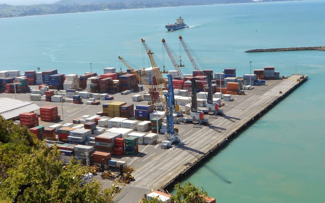 Disruptions brake Napier Port half-year