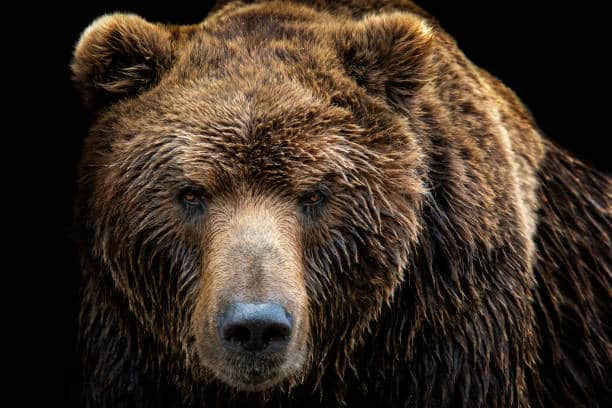 MARKETWEEK:  Bear market gets started on Wall Street